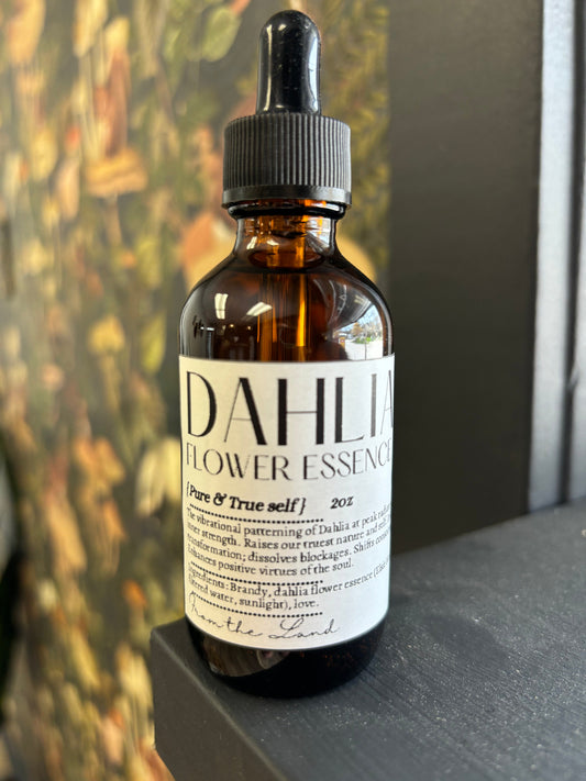 Flower Essence: Dahlia