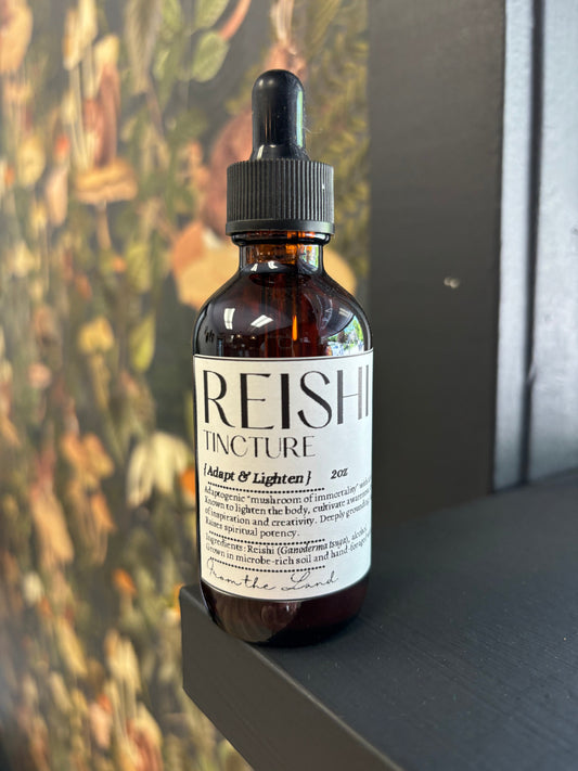 Tincture: Reishi