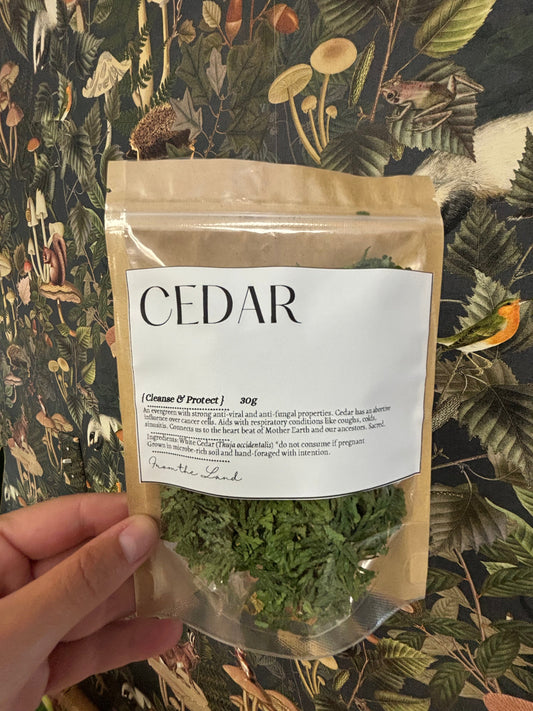 Tea: Cedar