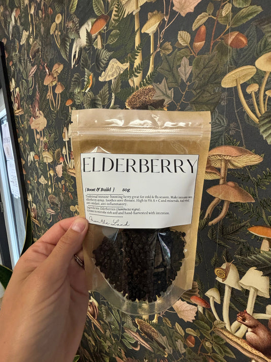 Tea: Elderberry