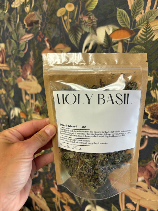 Tea: Holy Basil