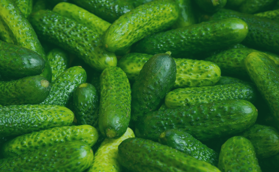 Brined Pickles