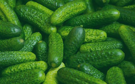 Brined Pickles
